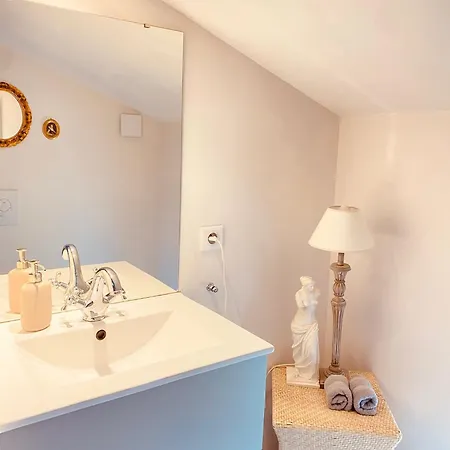 Clos Emilion Et Table D'hote En Option Vignonet