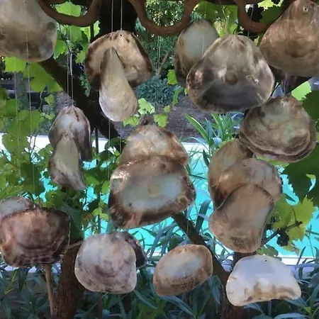 Frühstückspension Clos Emilion Et Table D'hote En Option