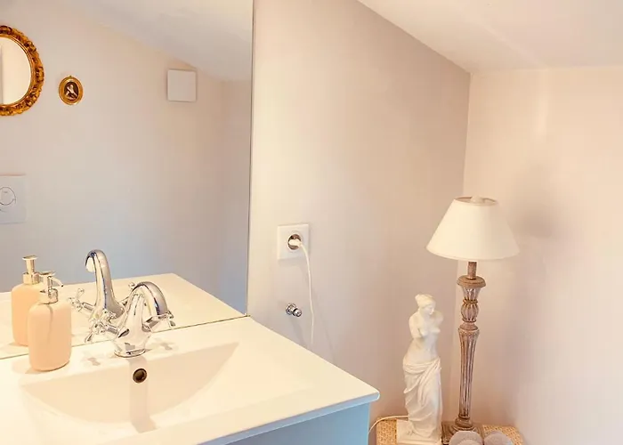 Clos Emilion Et Table D'hote En Option Vignonet