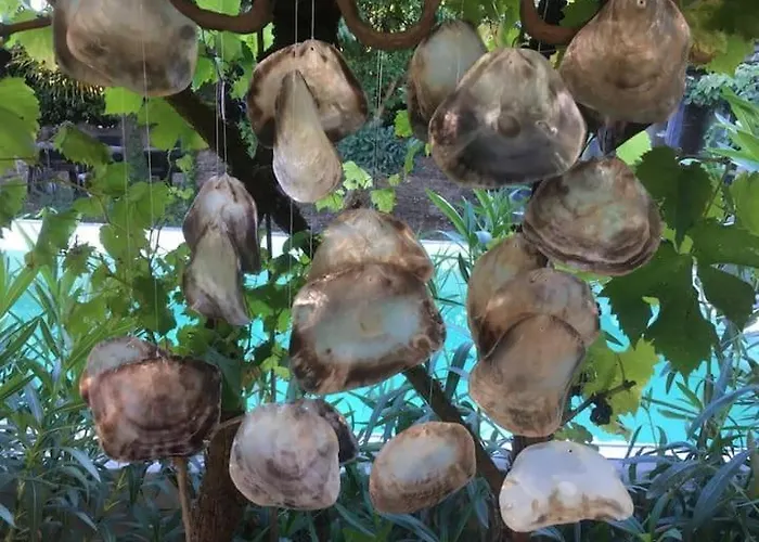 לינה וארוחת בוקר Clos Emilion Et Table D'hote En Option